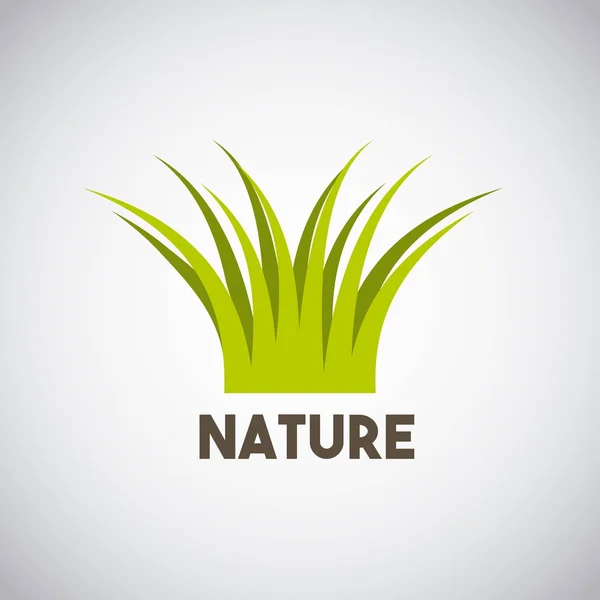 Natura erba campo sfondo — Vettoriale Stock