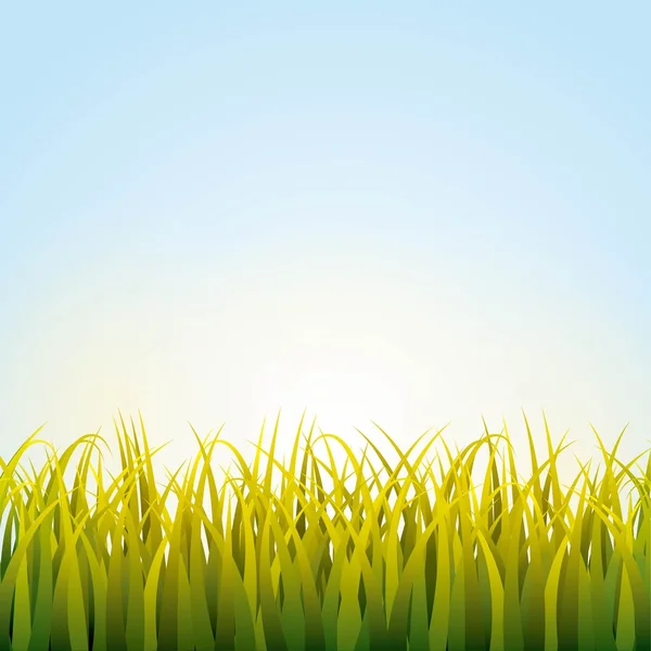 Nature grass field background — Stock Vector