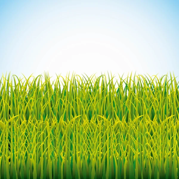 Nature grass field background — Stock Vector