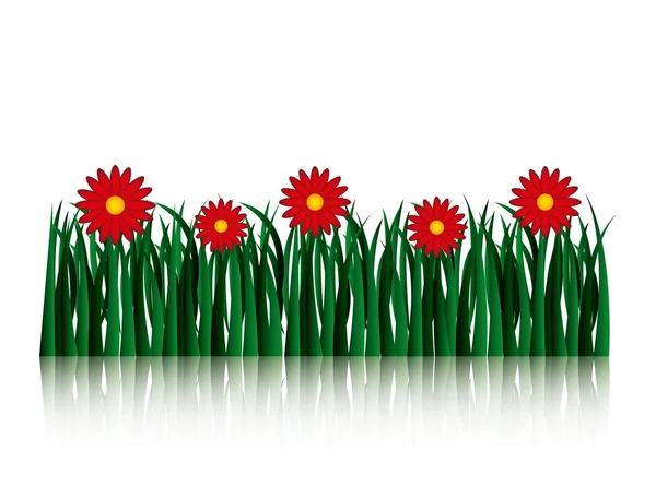 Garden flowers and grass field — Stock Vector