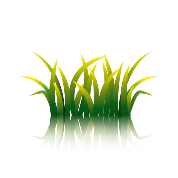 Natur Gras Feld Hintergrund — Stockvektor