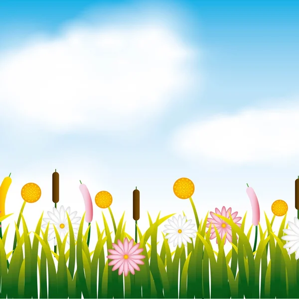 庭の花と芝生のフィールド — ストックベクタ