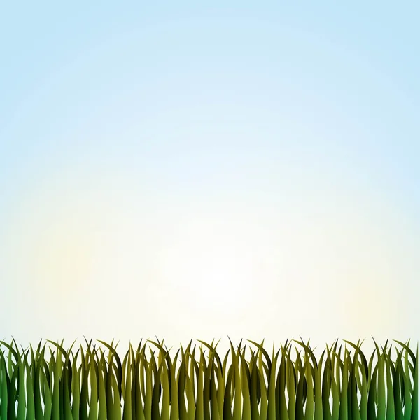 Přírodní trávy pole pozadí — Stockový vektor