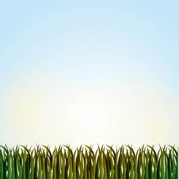 Nature grass field background — Stock Vector