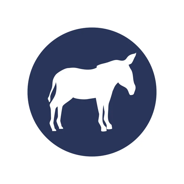 Silhouette d'âne animal — Image vectorielle