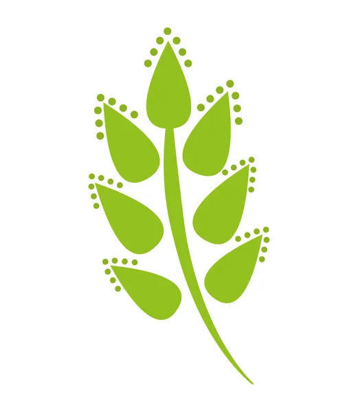 Feuille décorative plante icône isolée — Image vectorielle