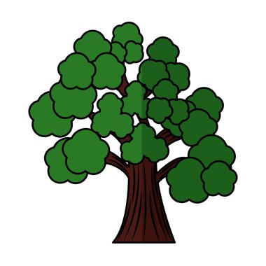 Ağaç bitkisi orman izole simgesi