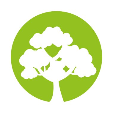 Ağaç bitkisi orman izole simgesi