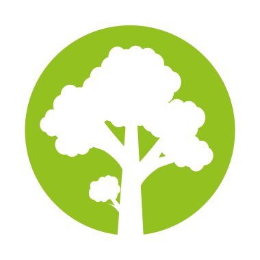 Ağaç bitkisi orman izole simgesi