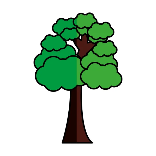 Дерево рослина ліс ізольована ікона — стоковий вектор
