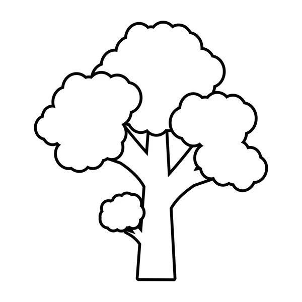 Albero foresta vegetale icona isolata monocromatica — Vettoriale Stock