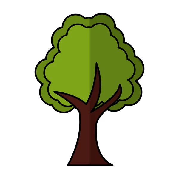 Дерево рослина ліс ізольована ікона — стоковий вектор
