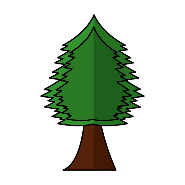 Tree plant forest isolated icon — Stock Vector