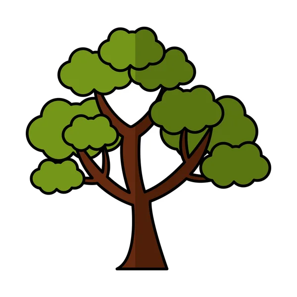 Árbol planta bosque aislado icono — Vector de stock