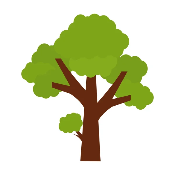 Träd växt skog isolerad ikon — Stock vektor