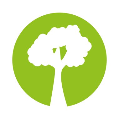 Ağaç bitkisi orman izole simgesi