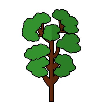 Ağaç bitkisi orman izole simgesi