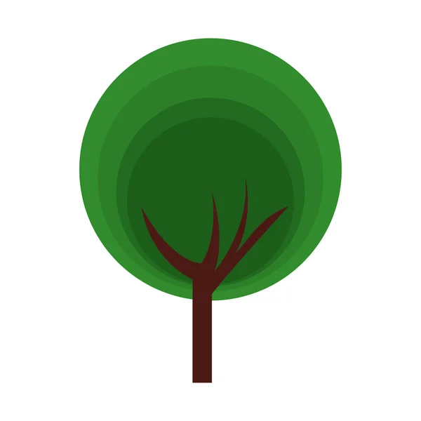 Tree plant forest isolated icon — Stock Vector