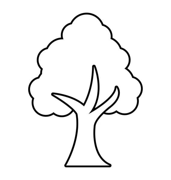 Fa növény erdő monokróm elszigetelt ikon — Stock Vector