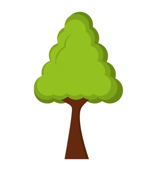 Árbol planta bosque aislado icono — Vector de stock