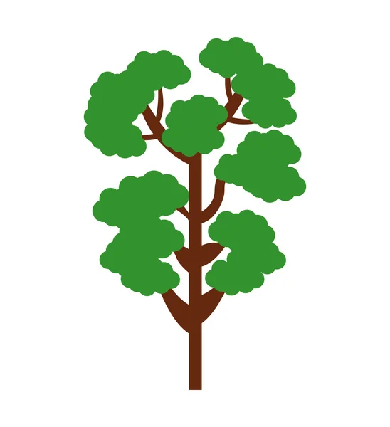 Baum pflanzen Wald isoliert Symbol — Stockvektor