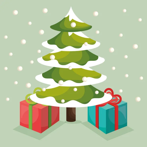 Cartão de pinho árvore de natal — Vetor de Stock