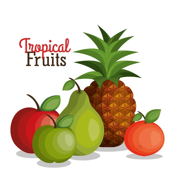 Тропические фрукты — стоковый вектор
