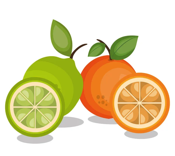 Tropisch fruit vers banner — Stockvector