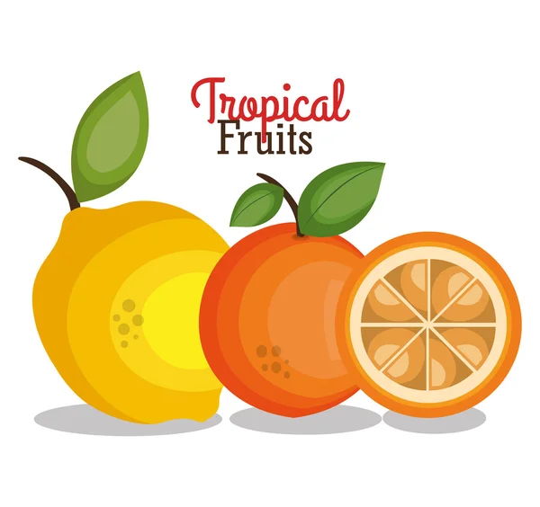 Bandeira fresca de frutas tropicais — Vetor de Stock