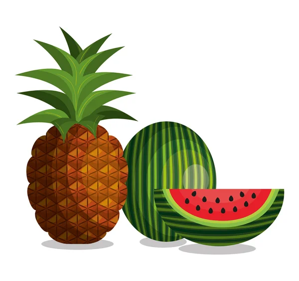 Banner fresco de frutas tropicales — Vector de stock