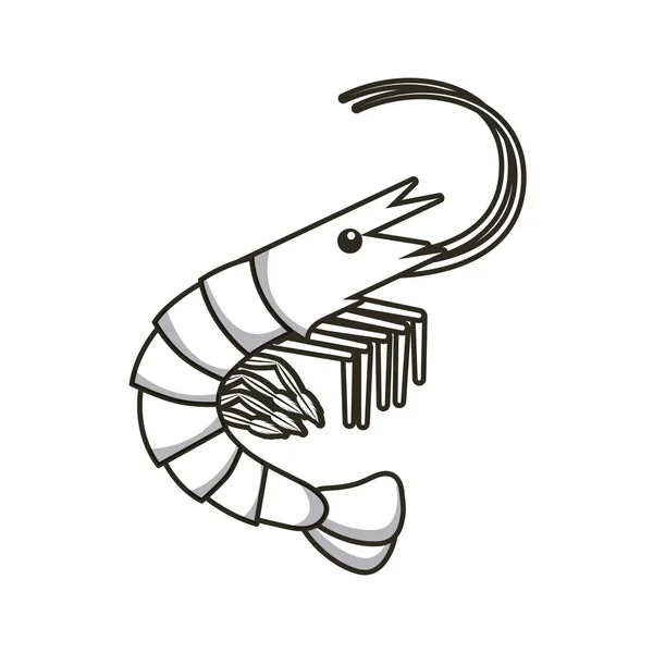 Lezzetli deniz ürünleri ıstakoz hayvan — Stok Vektör