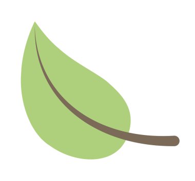 bitki dekorasyon izole simgesi yapraklar