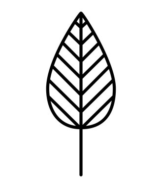 bitki dekorasyon izole simgesi yapraklar