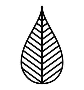 bitki dekorasyon izole simgesi yapraklar