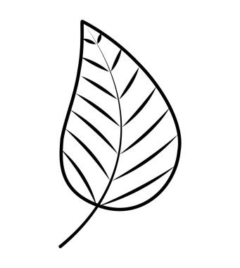 bitki dekorasyon izole simgesi yapraklar