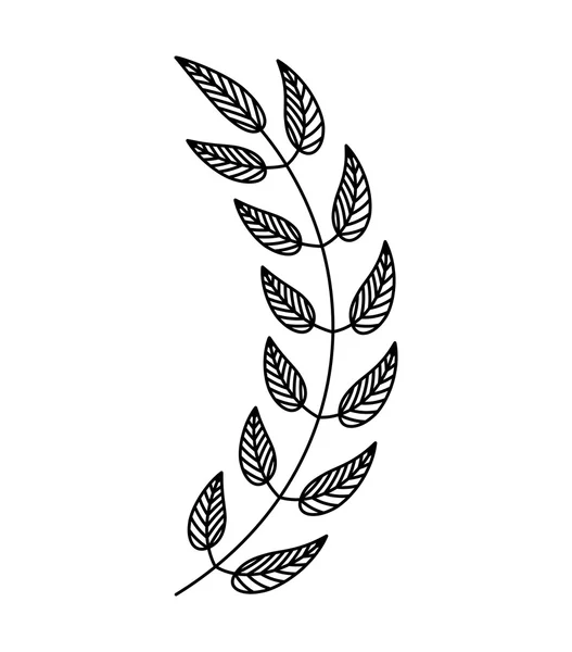 叶子植物装饰孤立的图标 — 图库矢量图片