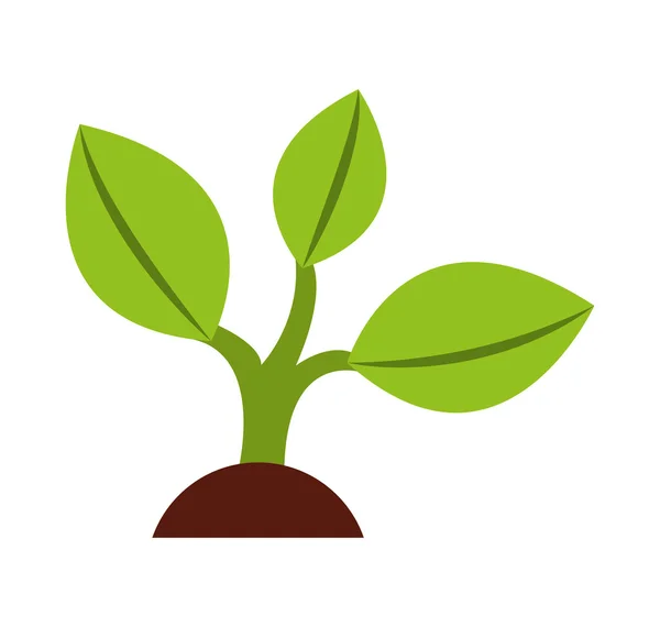 Simbol ekologi tanaman berdaun - Stok Vektor