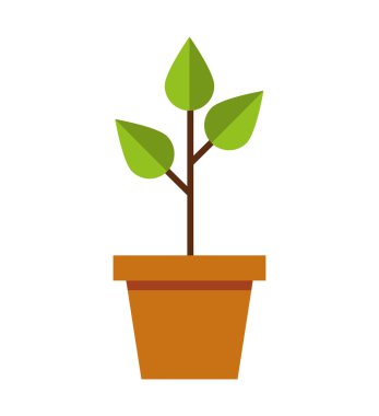 bitki ekoloji sembolü yapraklar