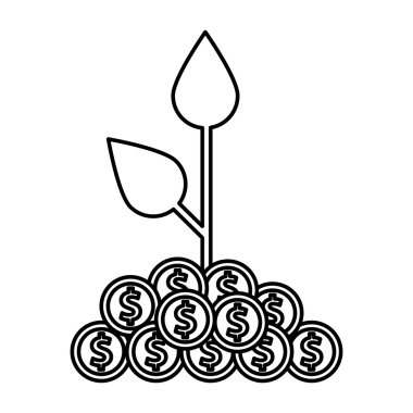 sikke para ile bitki