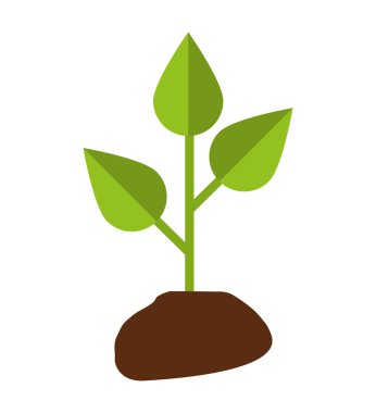 bitki ekoloji sembolü yapraklar