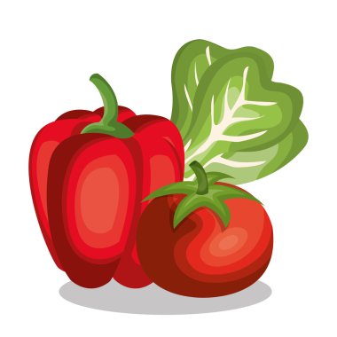 set besleyici gıda izole simgeler