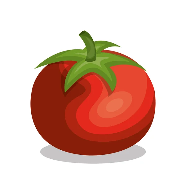 Delicioso tomate vegetal aislado icono — Vector de stock