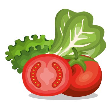 set besleyici gıda izole simgeler