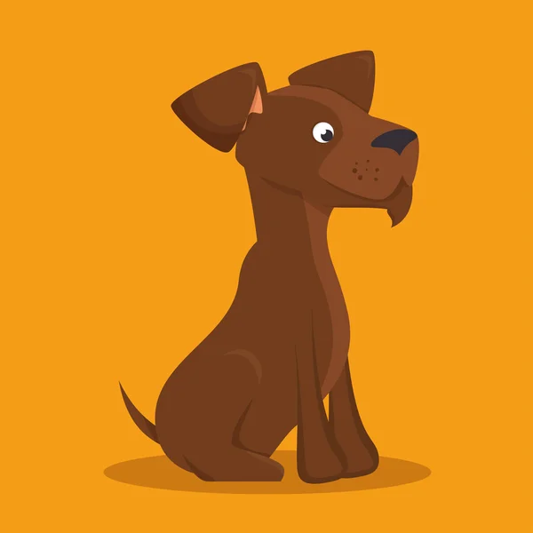 Brown dog lovely icon graphic — Stock Vector