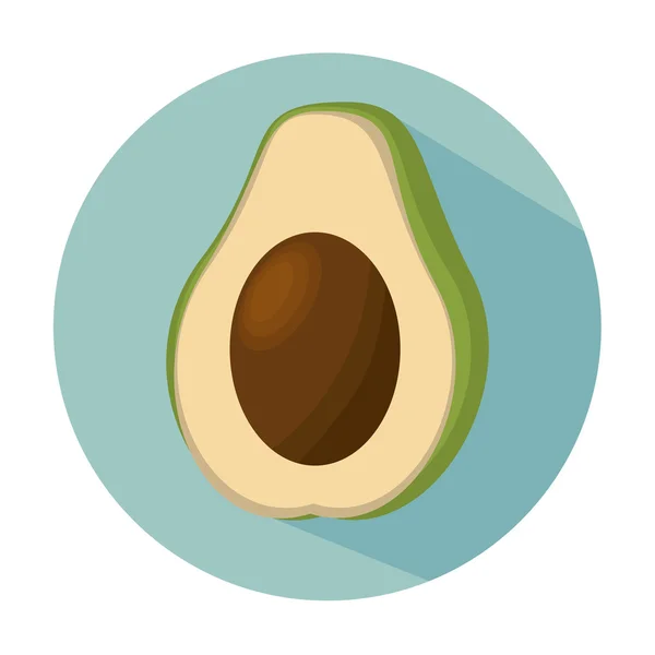 Avocado gesunde Früchte frisch — Stockvektor