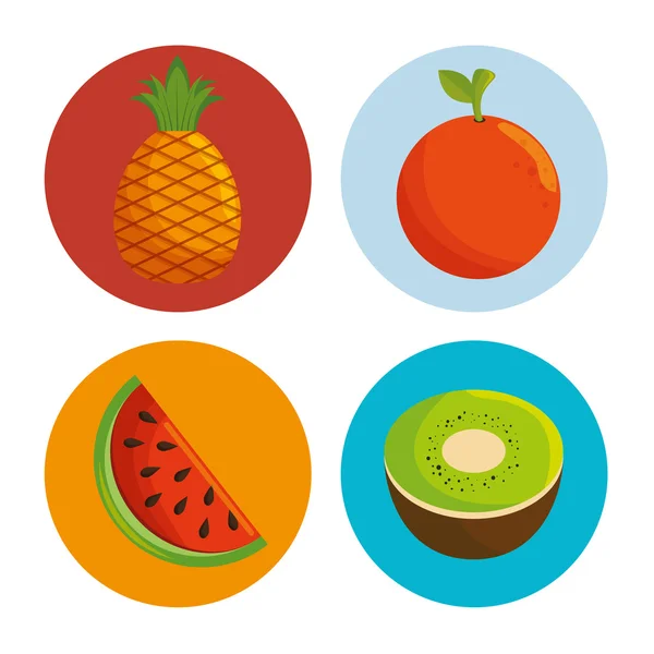 Delicious fresh fruit healthy icon — ストックベクタ