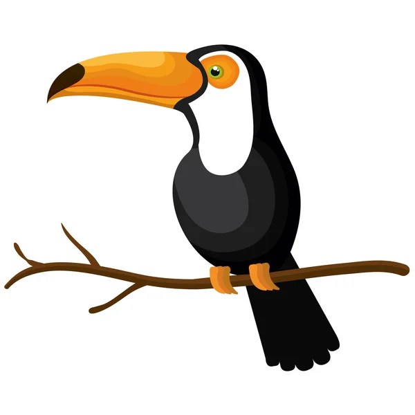 Toucan oiseau icône isolée — Image vectorielle