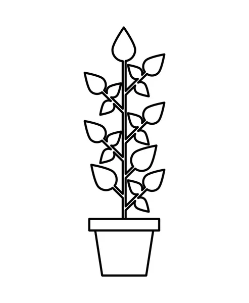 Blätter pflanzenökologisches Symbol — Stockvektor