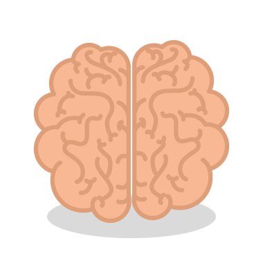 Beyin organı izole edilmiş simge