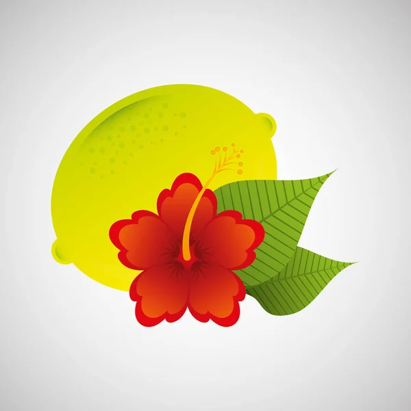 Lemon citrus and red flower leaves icon design — Stock Vector